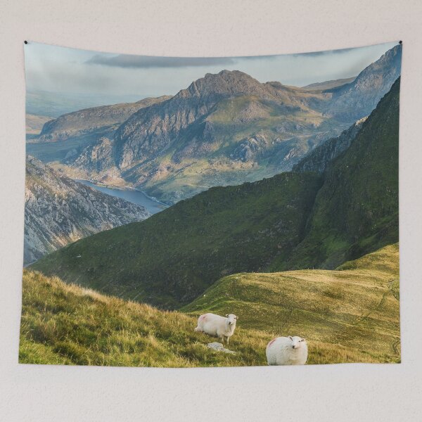 Item preview, Tryfan and Sheeps designed and sold by LluniauDafyddEm.