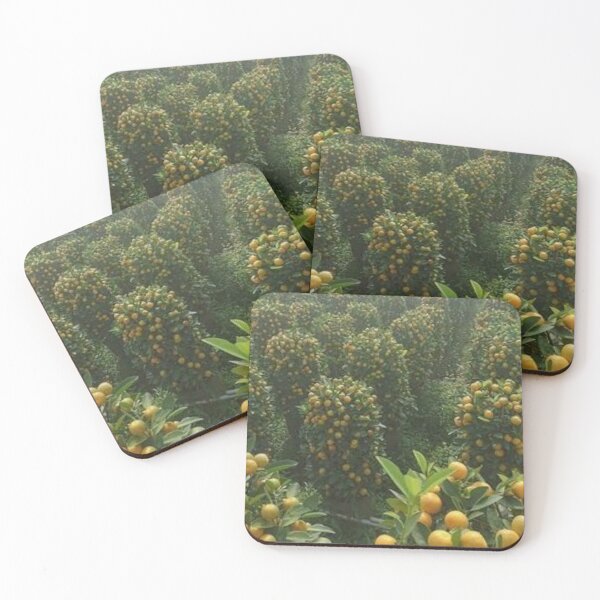 Item preview, Beautiful tangerine garden. designed and sold by Lan thi Nguyen.
