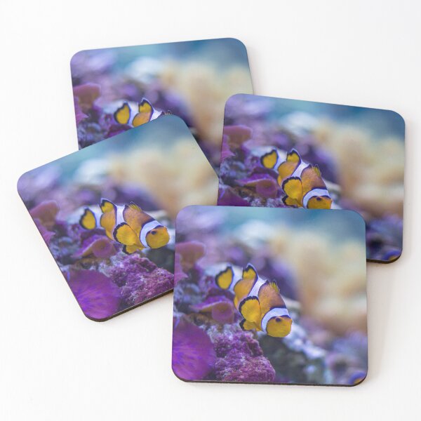 Item preview, Clownfish designed and sold by Roberd Palm.