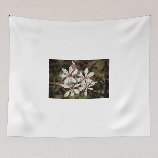 Item preview, Four designed and sold by D-GaP.