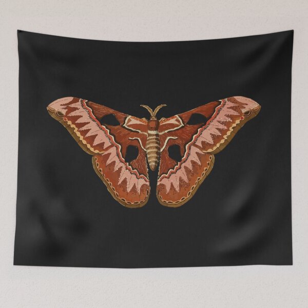 Item preview, Reddish Brown Butterfly designed and sold by butterflyzz.