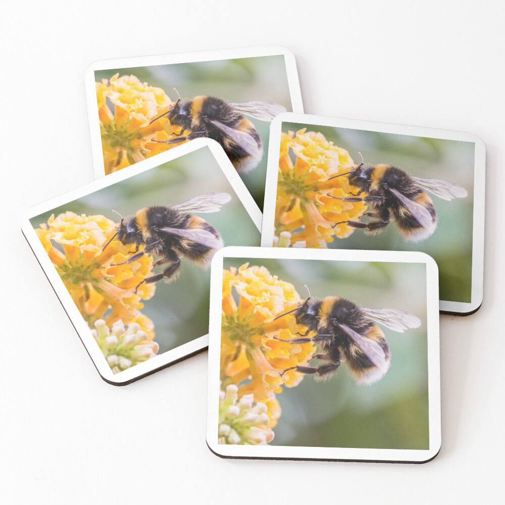Item preview, Coasters (Set of 4) designed and sold by BOSSERY.