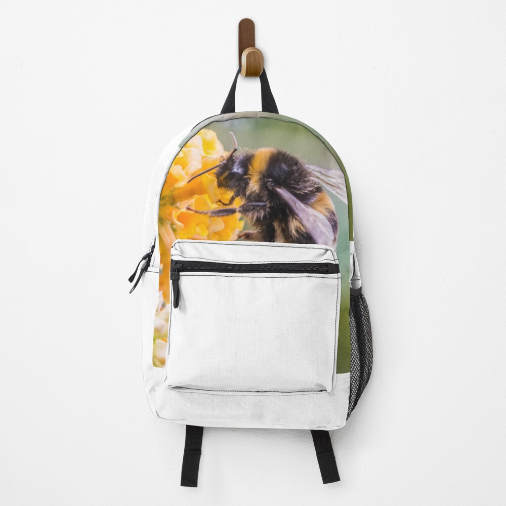 Item preview, Backpack designed and sold by BOSSERY.