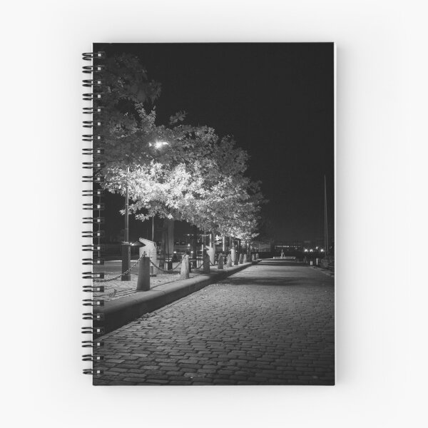 Item preview, Street lights designed and sold by Roberd Palm.