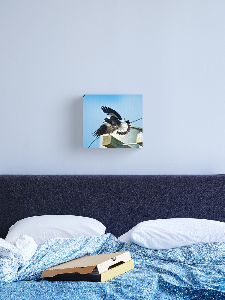 Thumbnail 2 of 3, Canvas Print, MAGPIE ~ Australian Magpie 9JTJDLCF by David Irwin ~ WO designed and sold by tasmanianartist.
