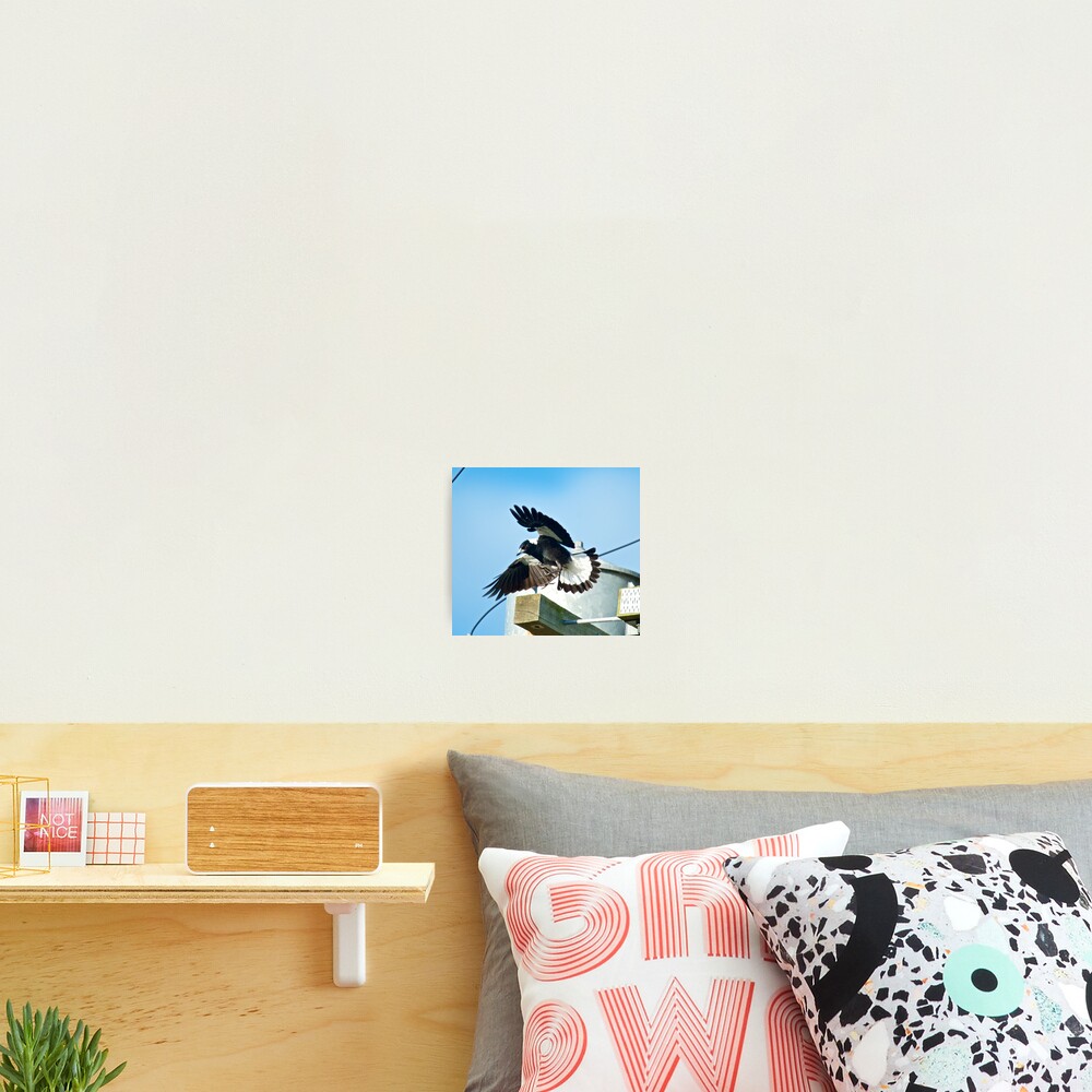 Item preview, Photographic Print designed and sold by tasmanianartist.