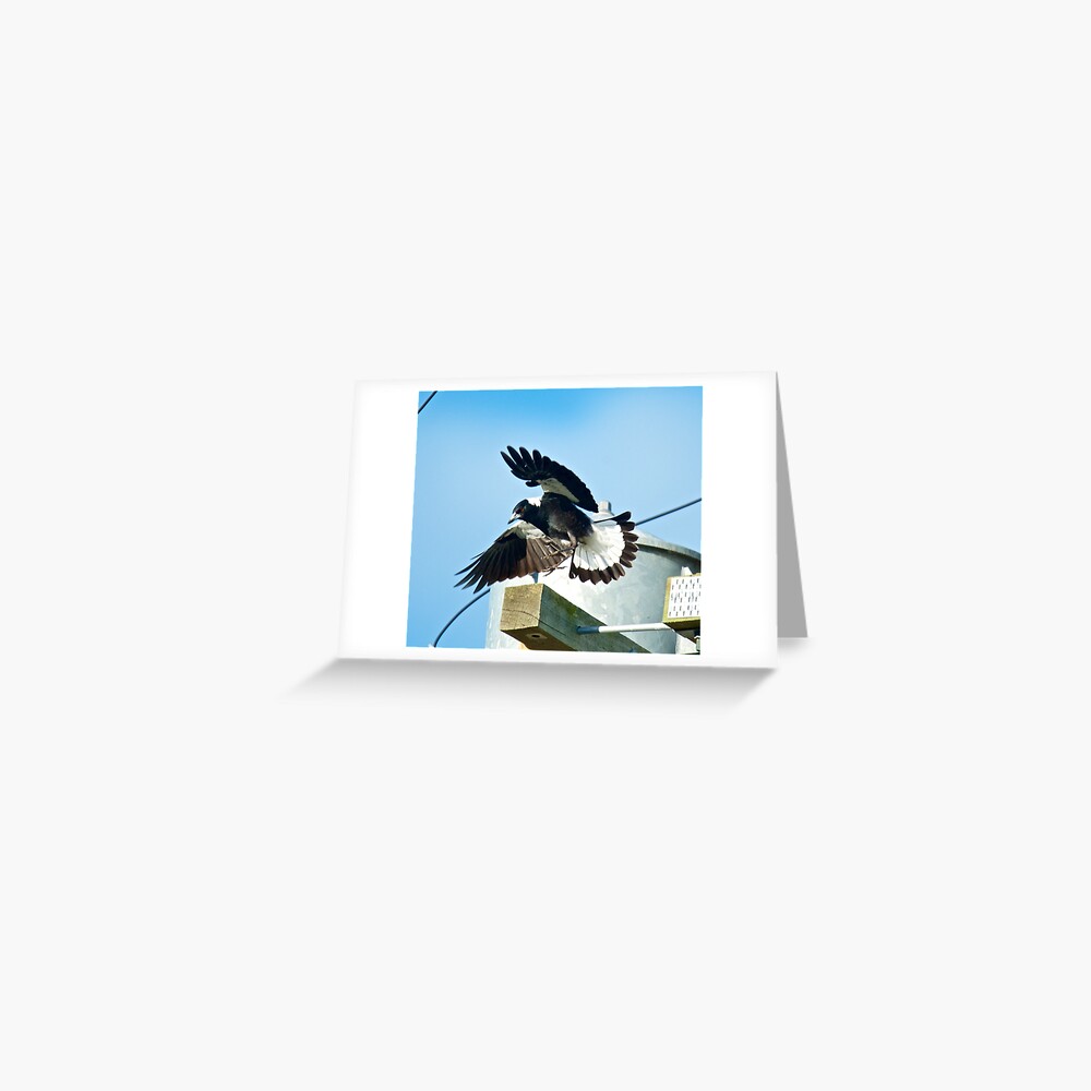 Item preview, Greeting Card designed and sold by tasmanianartist.