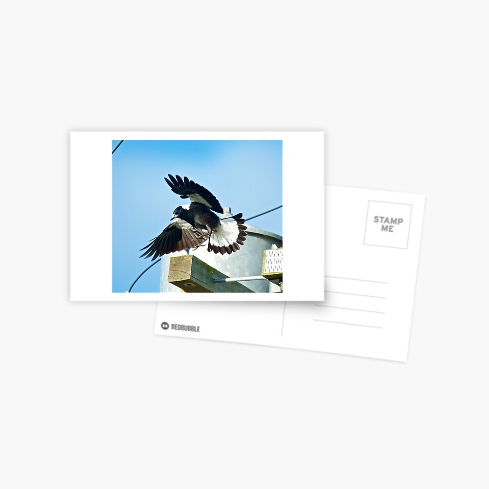 Item preview, Postcard designed and sold by tasmanianartist.
