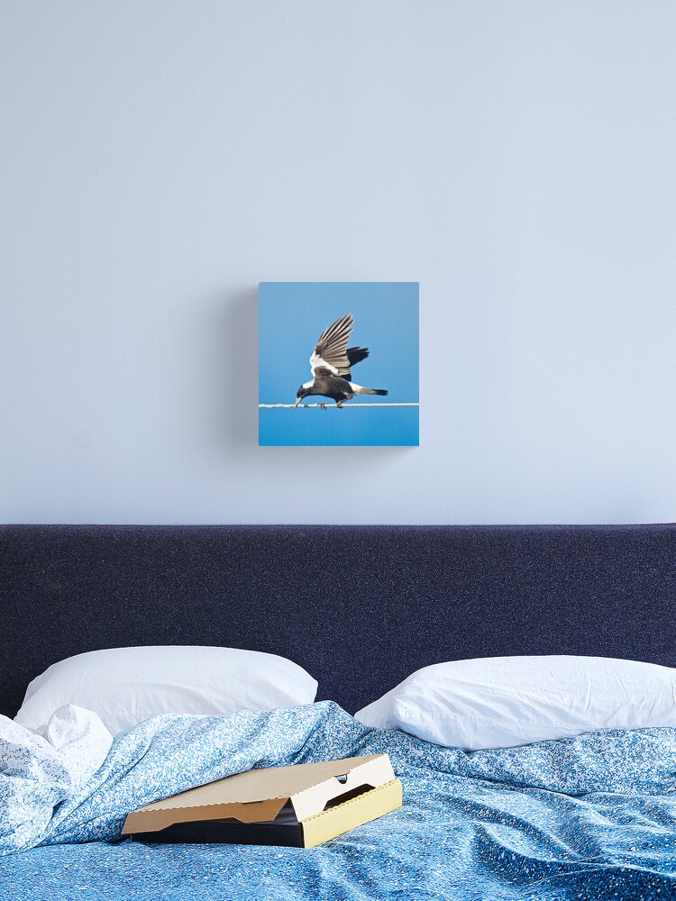Thumbnail 2 of 3, Canvas Print, MAGPIE ~ Australian Magpie XAES7Y8R by David Irwin designed and sold by tasmanianartist.