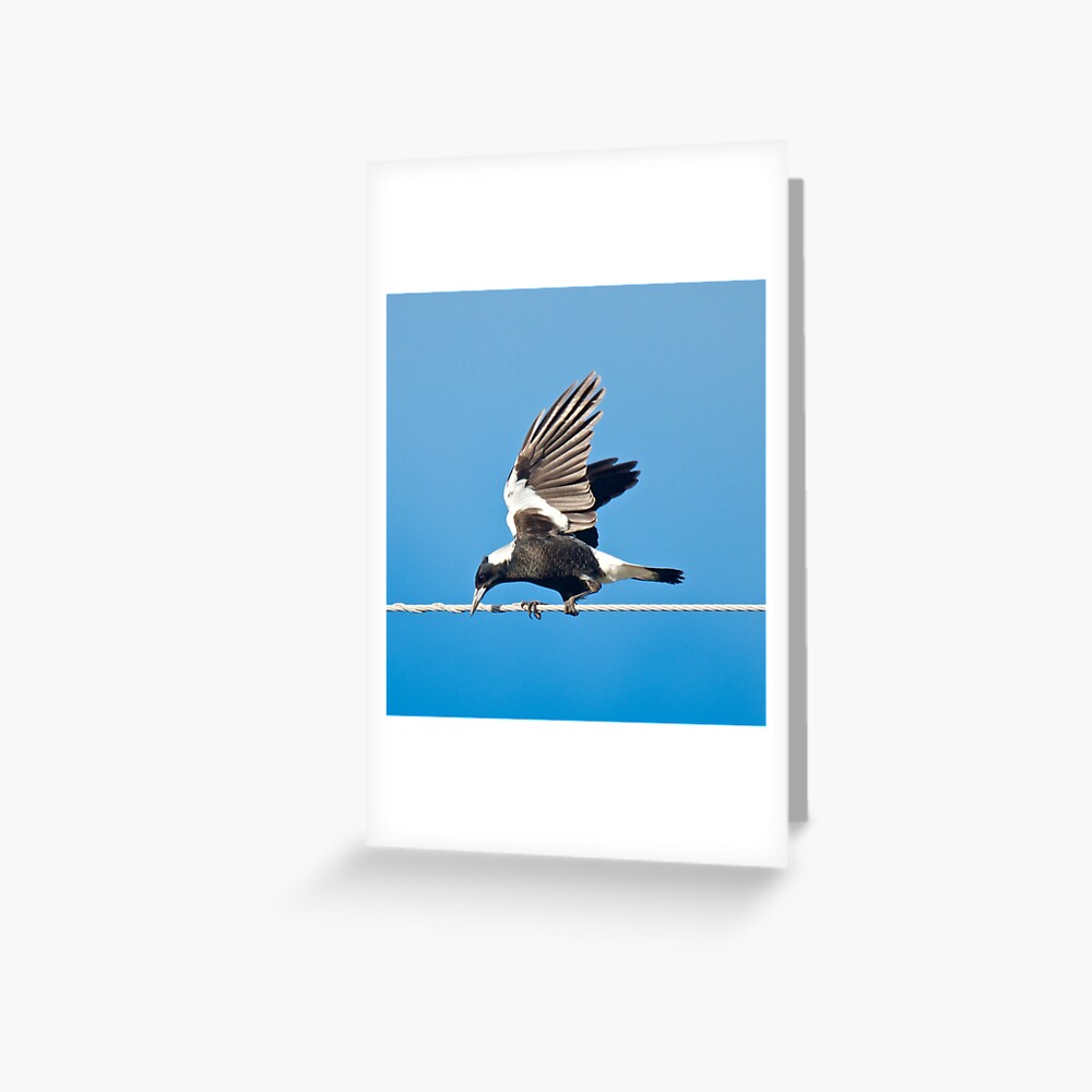 Item preview, Greeting Card designed and sold by tasmanianartist.