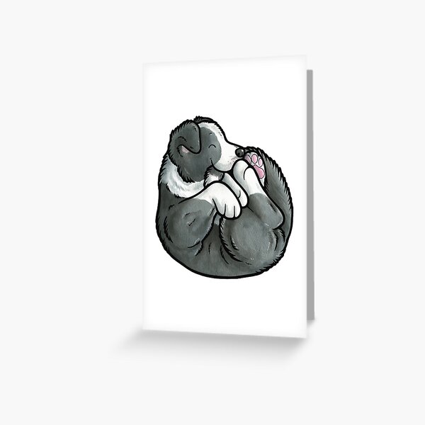 Sleeping Border Collie puppy Greeting Card