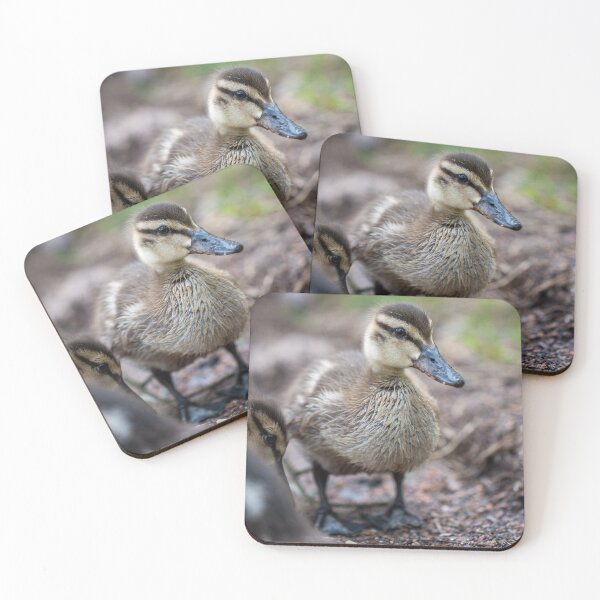 Item preview, Ducks designed and sold by Roberd Palm.