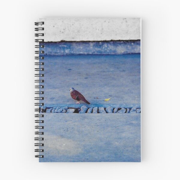Item preview, Bird Of Mexico designed and sold by Designs By YL.