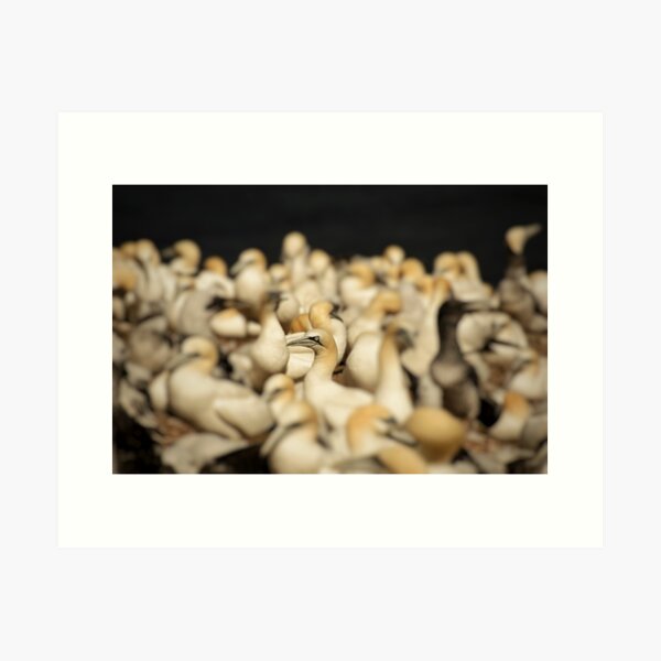 Aperçu de l'œuvre Un sur un million créée et vendue par photobypj.