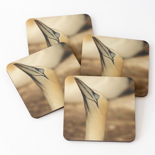 Item preview, Gannet (square portrait) designed and sold by photobypj.