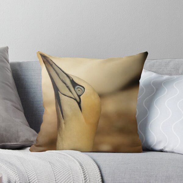 Item preview, Gannet (square portrait) designed and sold by photobypj.