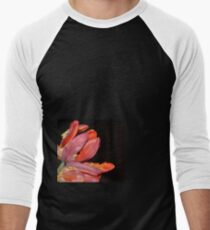 TULIPS Men's Baseball ¾ T-Shirt