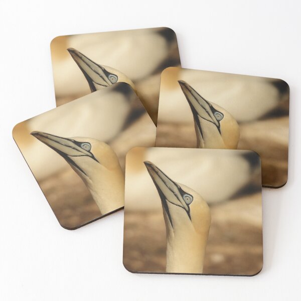 Item preview, Gannet designed and sold by photobypj.