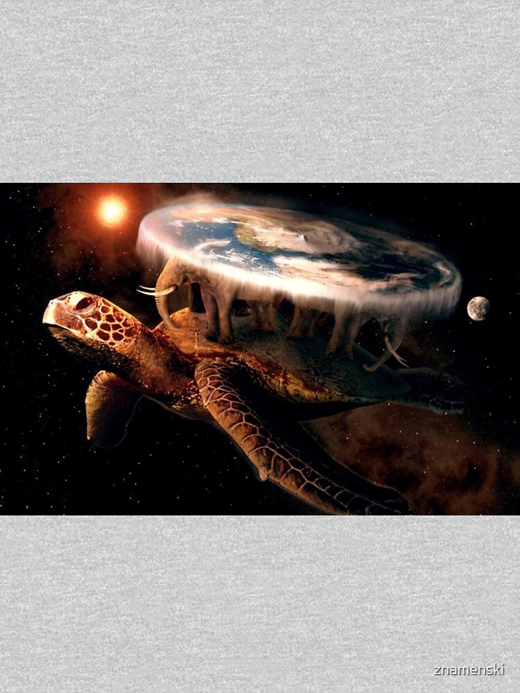 Flat Earth Turtle by znamenski