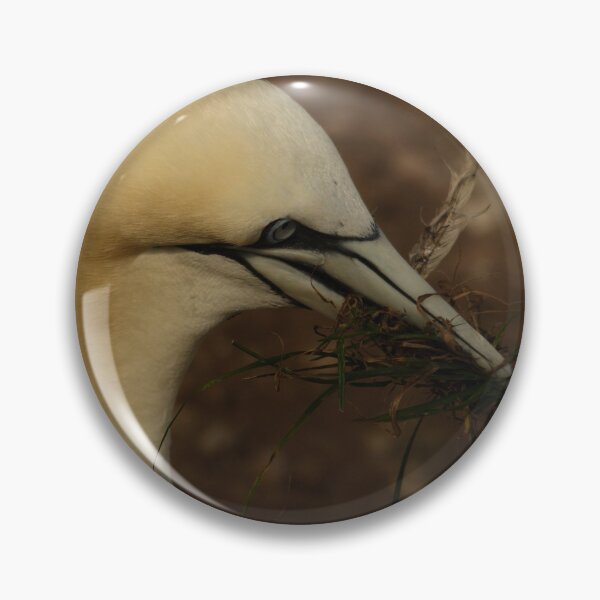 Item preview, Gannet #2 designed and sold by photobypj.