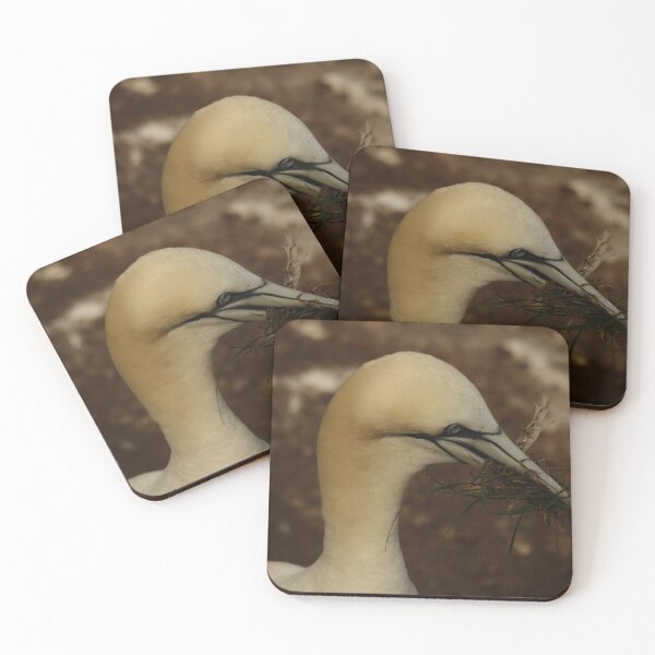 Item preview, Gannet #2 designed and sold by photobypj.