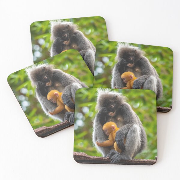 Item preview, Langur - a mother's love designed and sold by David ST Loh Images.