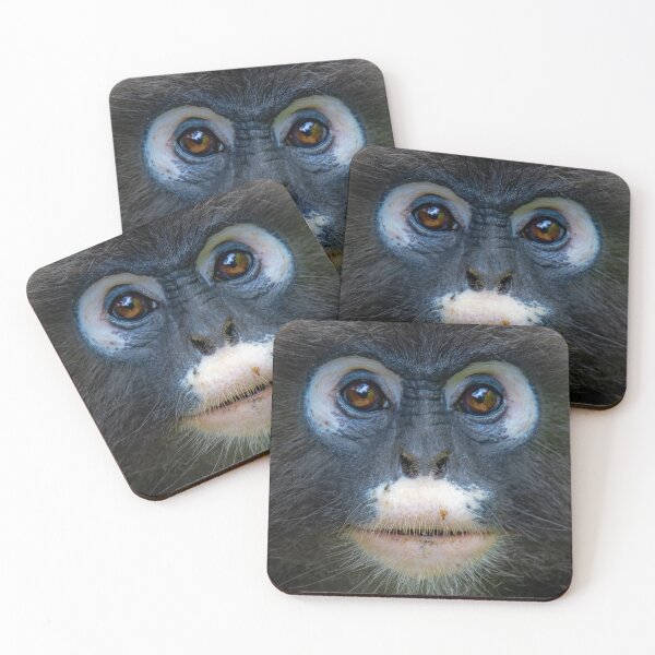 Item preview, A portrait of a Dusky leaf monkey at Penang Hill Biosphere Reserve designed and sold by David ST Loh Images.