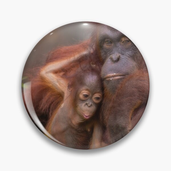 Item preview, Orangutan - a mother's love. designed and sold by David ST Loh Images.