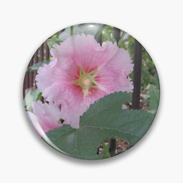 Item preview, Pink hollyhock designed and sold by greentiger1.