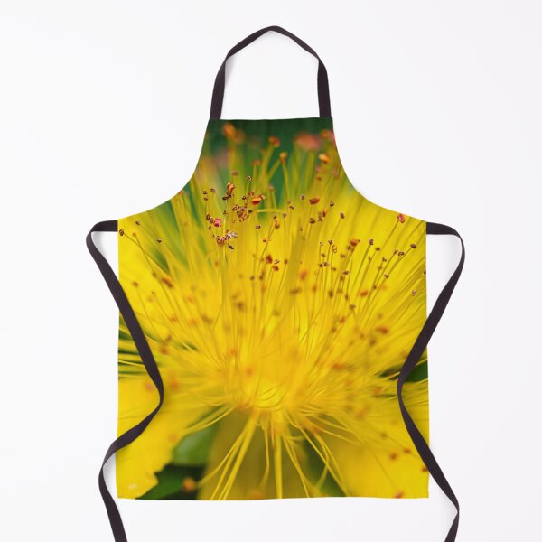 Item preview, Rose of Sharon (hypericum calycinum) designed and sold by Carol Dekle-Foss.