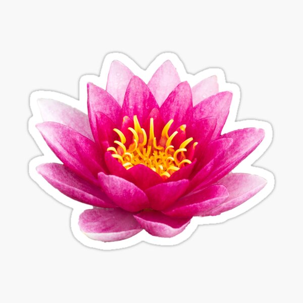 Artikel-Vorschau von Lotus Flower Design, designt und verkauft von lightnshadow1.