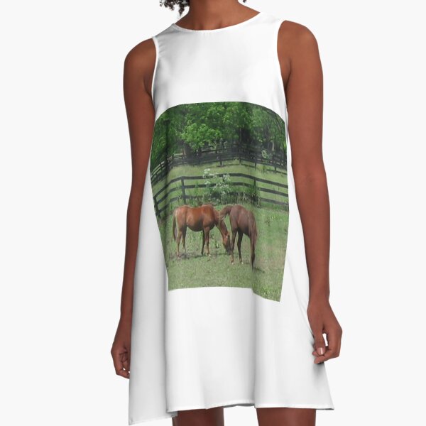 A couple of horses grazing in a field on a beautiful day! A-Line Dress