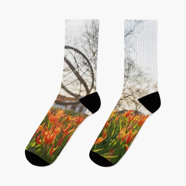 Item preview, Sundial Tulips designed and sold by Praytera.