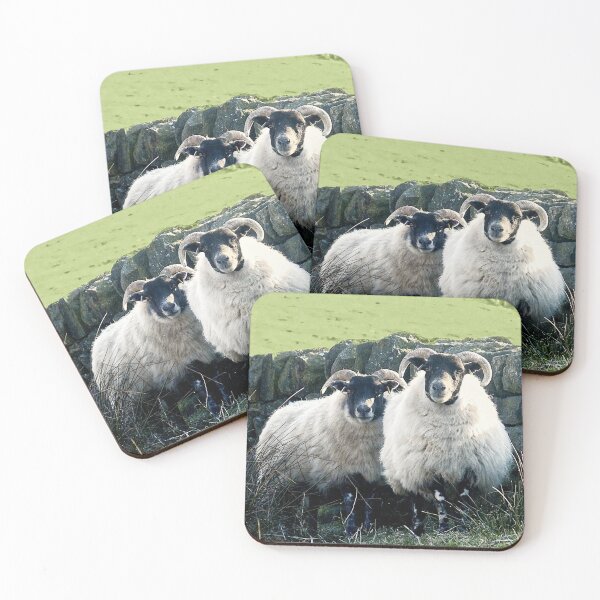 Item preview, Yorkshire sheep designed and sold by Marju Rose.