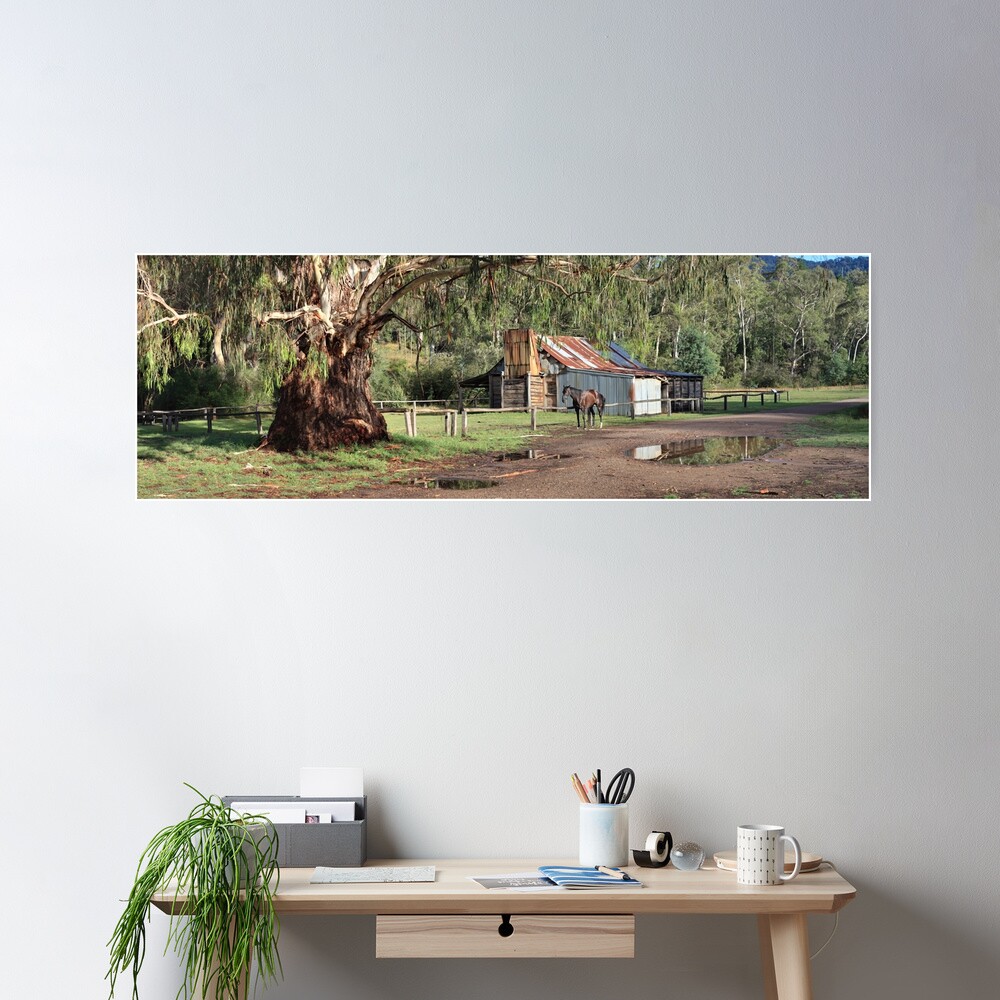 Frys Hut, Howqua Hills, Australia Poster