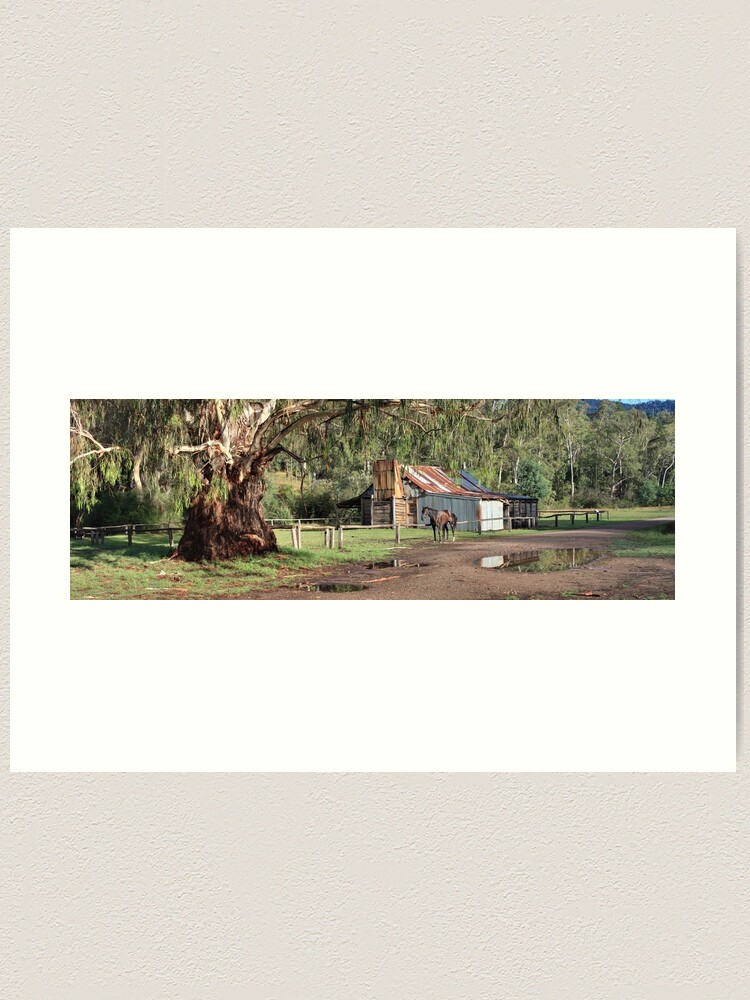 Thumbnail 1 of 3, Art Print, Frys Hut, Howqua Hills, Australia designed and sold by Chockstone.