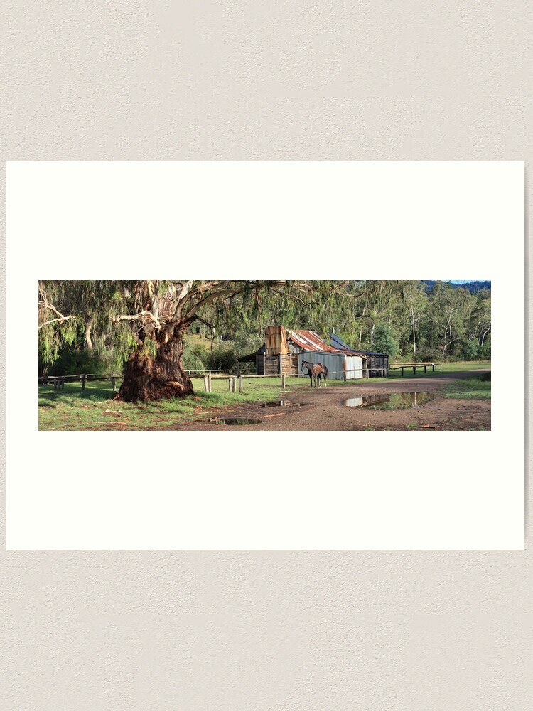 Thumbnail 1 of 3, Art Print, Frys Hut, Howqua Hills, Australia designed and sold by Chockstone.