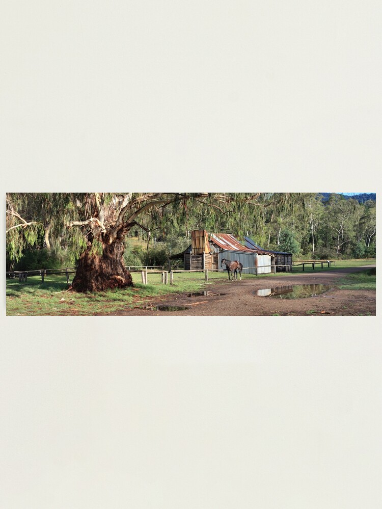 Thumbnail 1 of 3, Photographic Print, Frys Hut, Howqua Hills, Australia designed and sold by Chockstone.