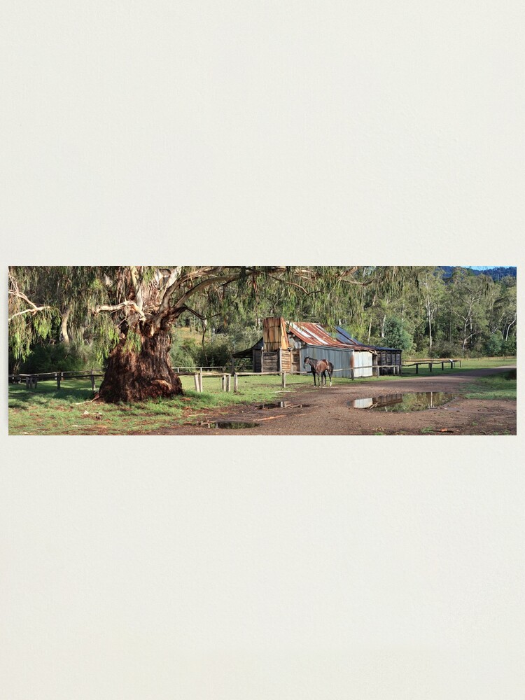 Thumbnail 1 of 3, Photographic Print, Frys Hut, Howqua Hills, Australia designed and sold by Chockstone.