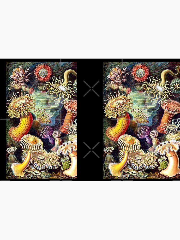 Thumbnail 3 of 3, Journal, Haeckel illustration designed and sold by monsterplanet.