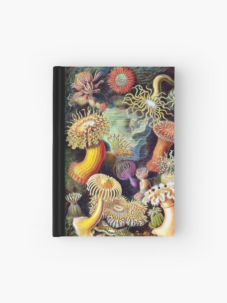 Thumbnail 1 of 3, Journal, Haeckel illustration designed and sold by monsterplanet.