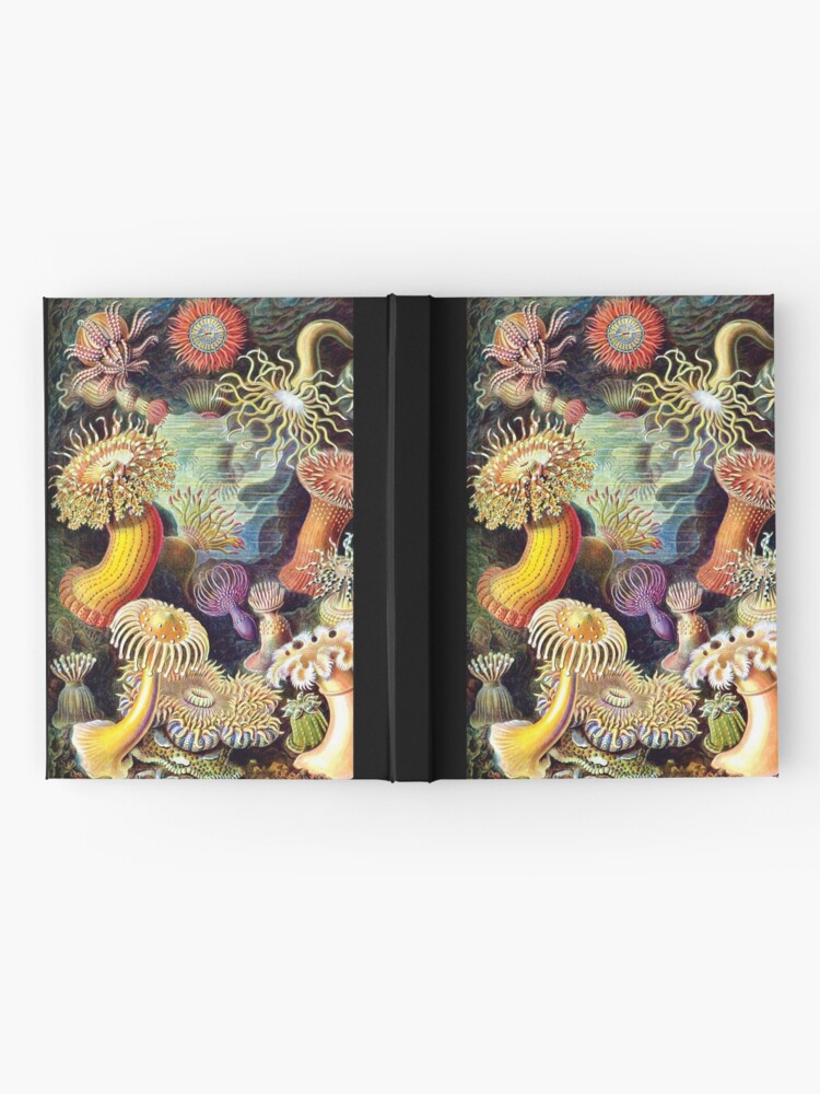 Thumbnail 2 of 3, Journal, Haeckel illustration designed and sold by monsterplanet.