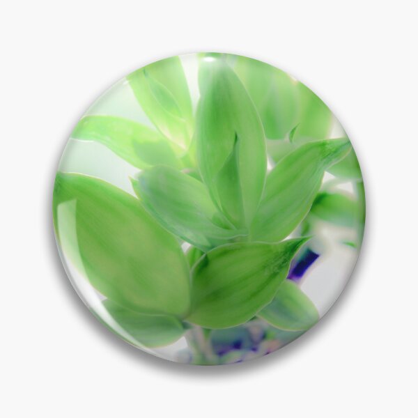Item preview, The beauty of bamboo  designed and sold by RosannaPhoto.