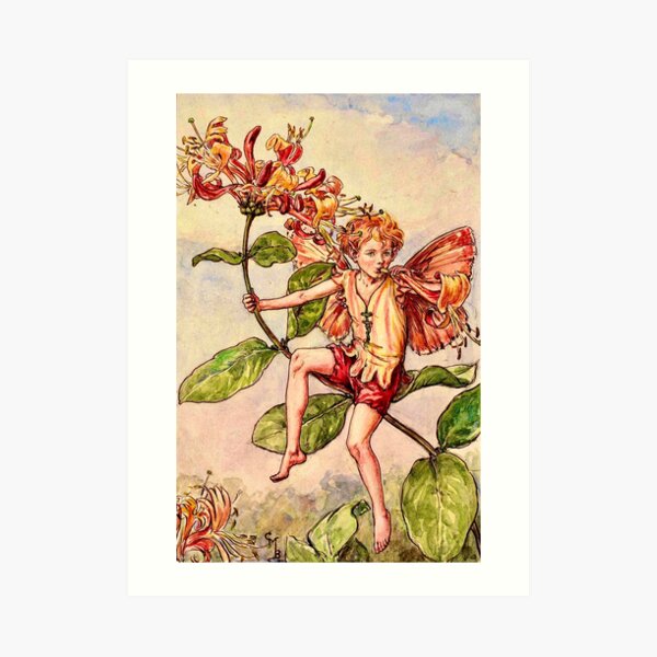 “The Honeysuckle Fairy” by Cicely Mary Barker Art Print