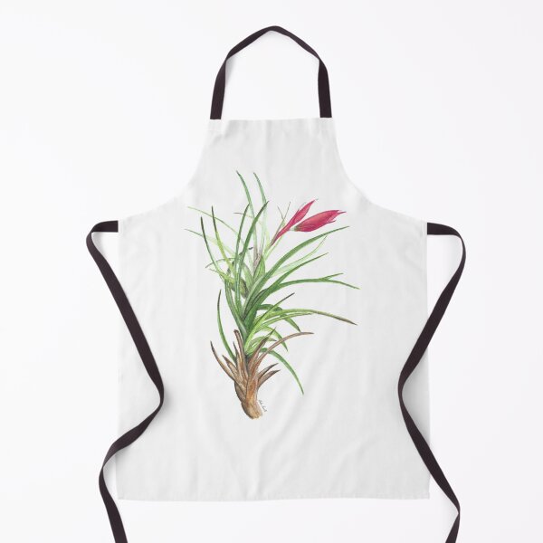 Item preview, Air Plant - Bromeliad watercolour designed and sold by Malu-Iriarte.