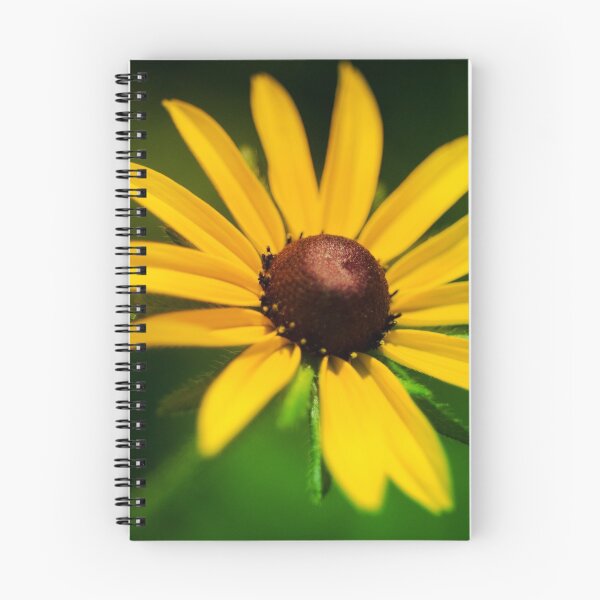 Artikelvorschau, Black Eyed Susan in der Sonne entworfen und verkauft von Efineart.