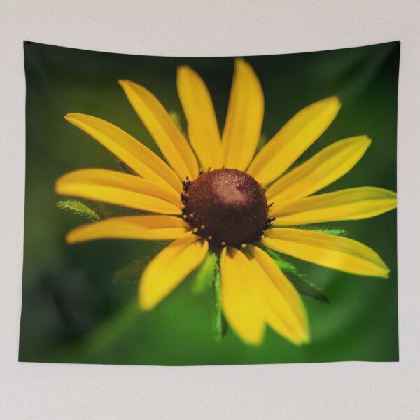Item preview, Black Eyed Susan in the sun designed and sold by Efineart.