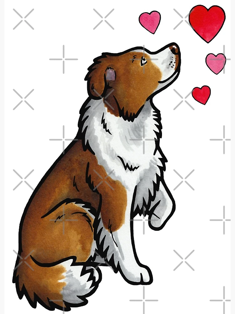 Red Merle Border Collie Puppy #1 Art Print by Cavan Images - Fine Art  America