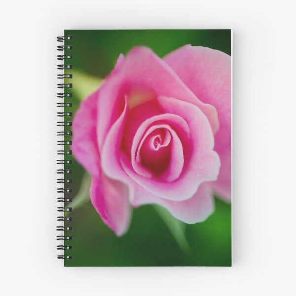 Item preview, Pink Rose 2 designed and sold by Efineart.