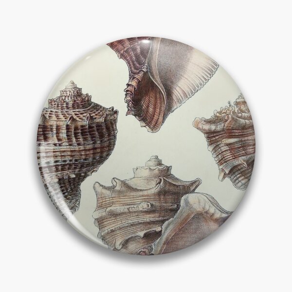 Item preview, Seashells designed and sold by StudioArtNew.